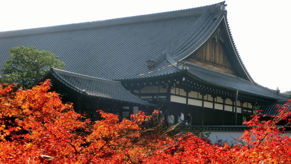 tofuku-ji, autumn