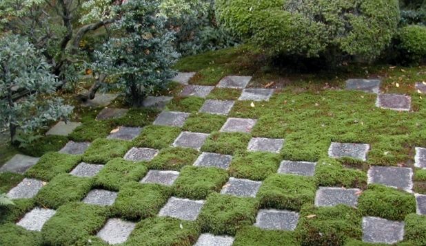 checkered garden