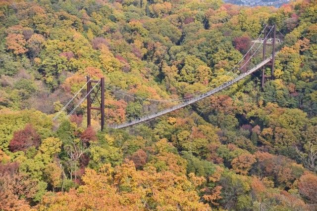 hoshidaenchi bridge autumn