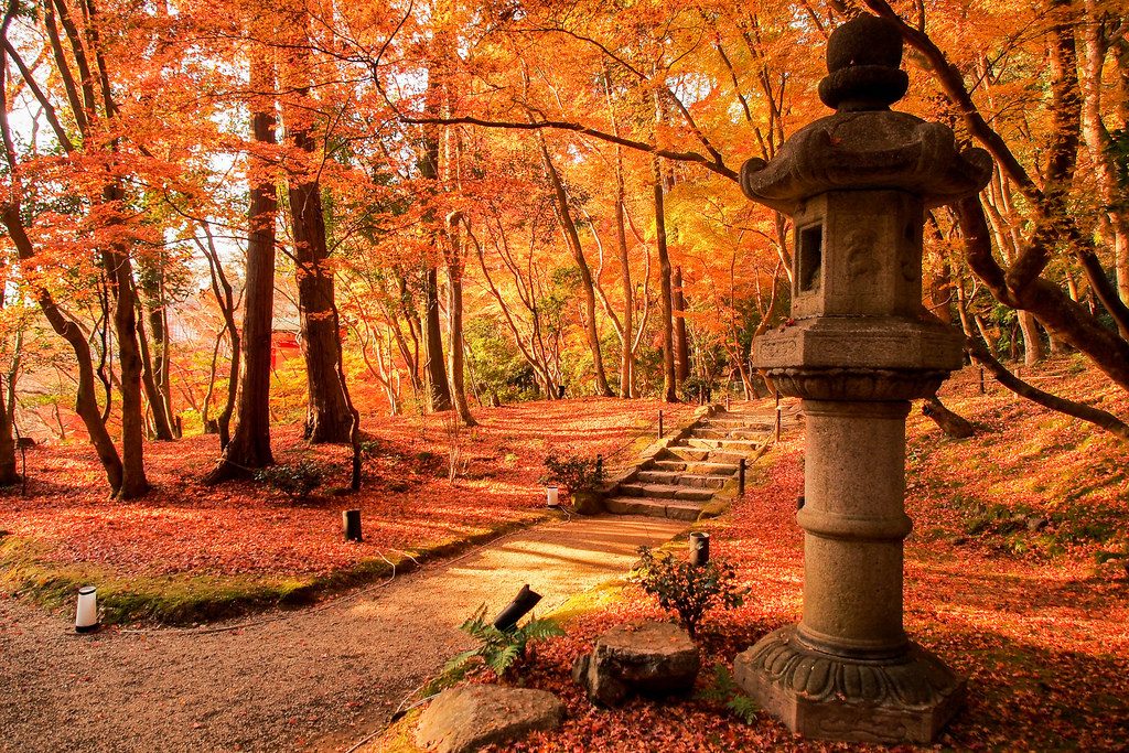 daigoji-autumn2