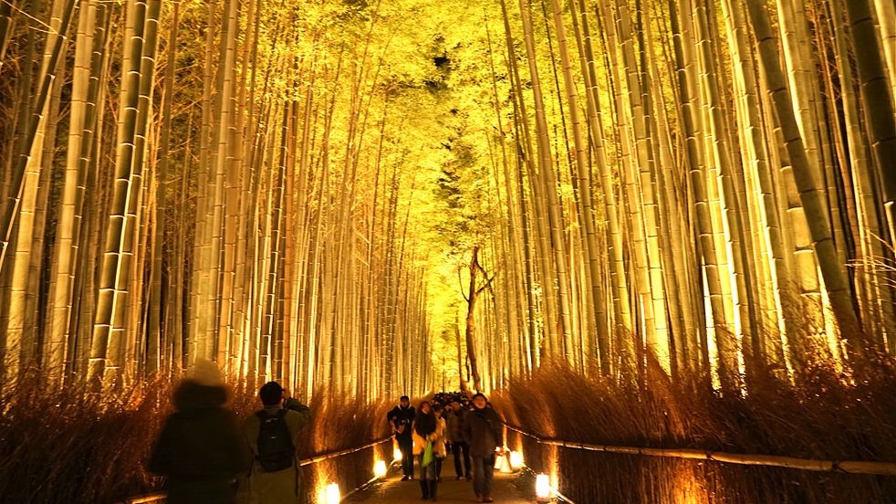 arashiyama hanatouro