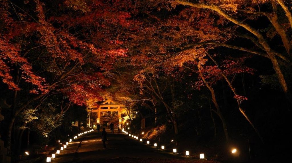 hiyoshi-taisha illumination