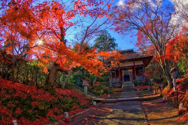 jojakko-ji autumn color