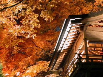 kibune shrine lit up