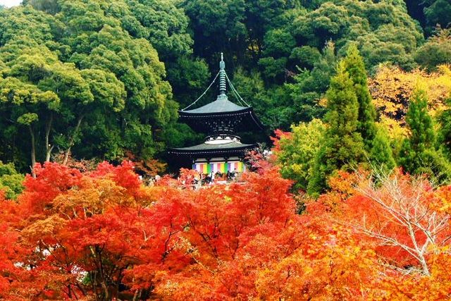 eikando pagoda