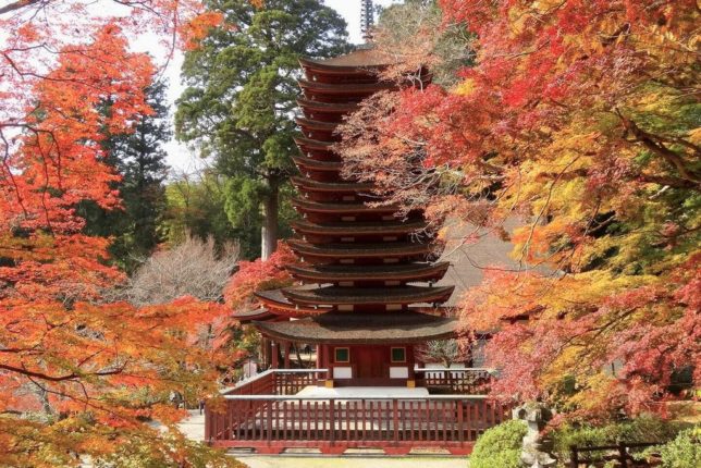 muro-ji temple autumn