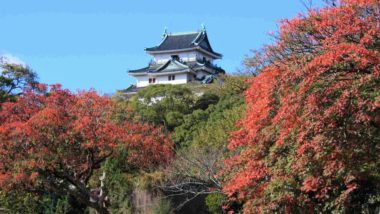 wakayama castle autumn