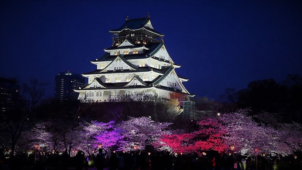 osala castle sakura