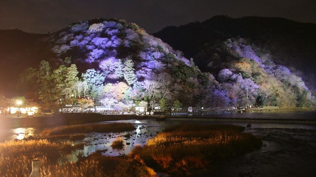 arashiyama lit up