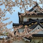 hikone castle