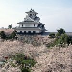 nagahama castle