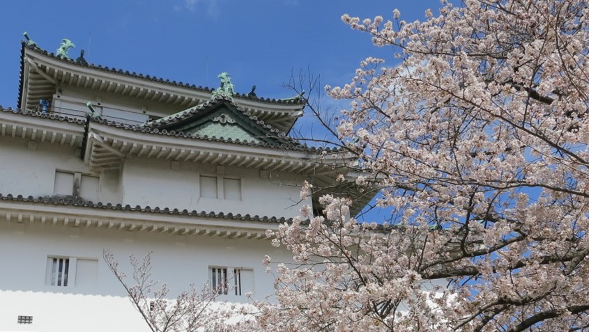 wakayama castle
