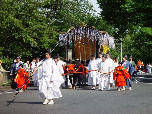 Aoi festival