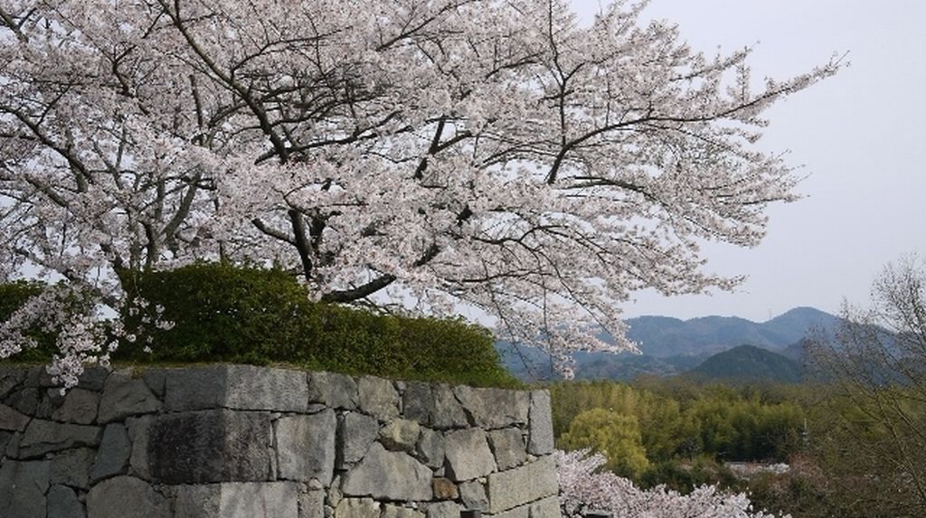 sasayama castle