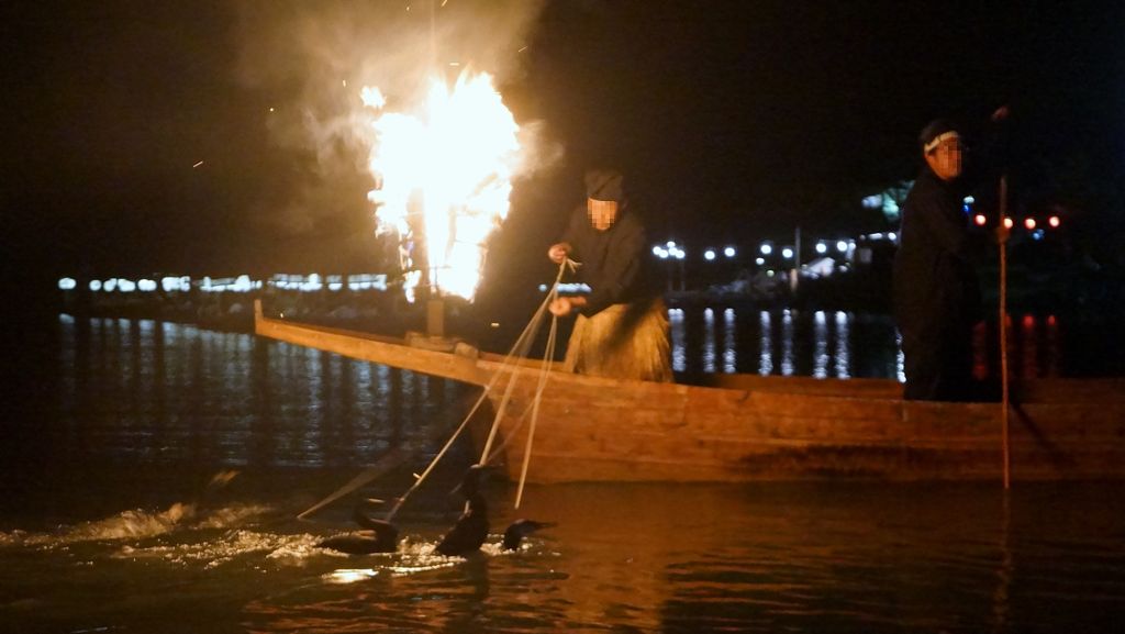 cormorant fishing