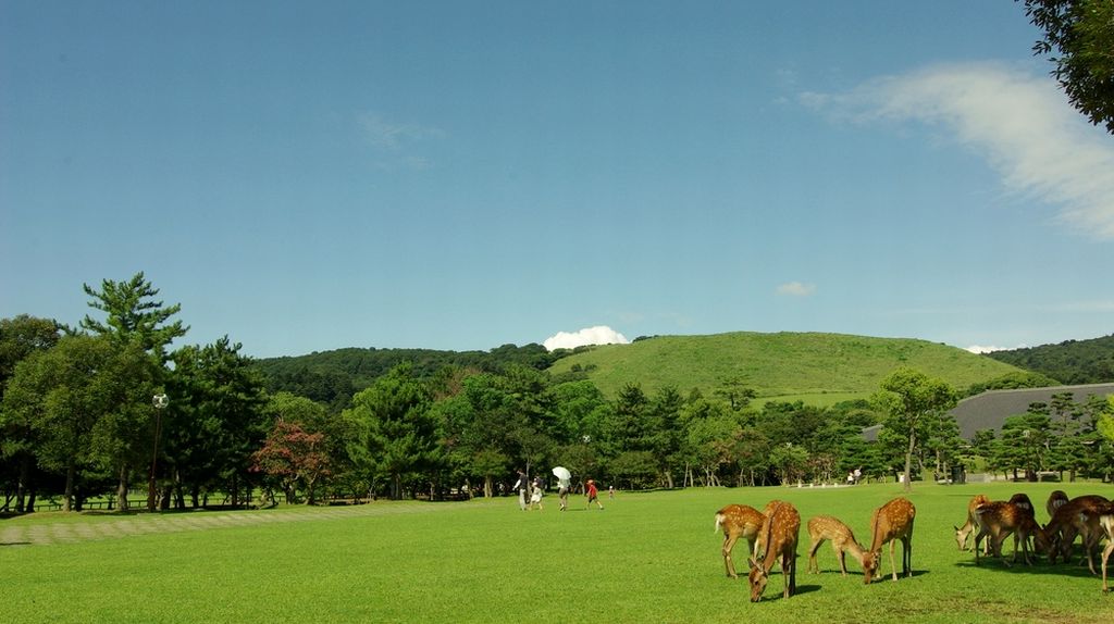 nara park