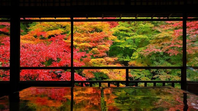 ruriko-in-autumn