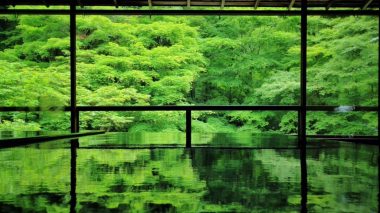 ruriko-in-spring