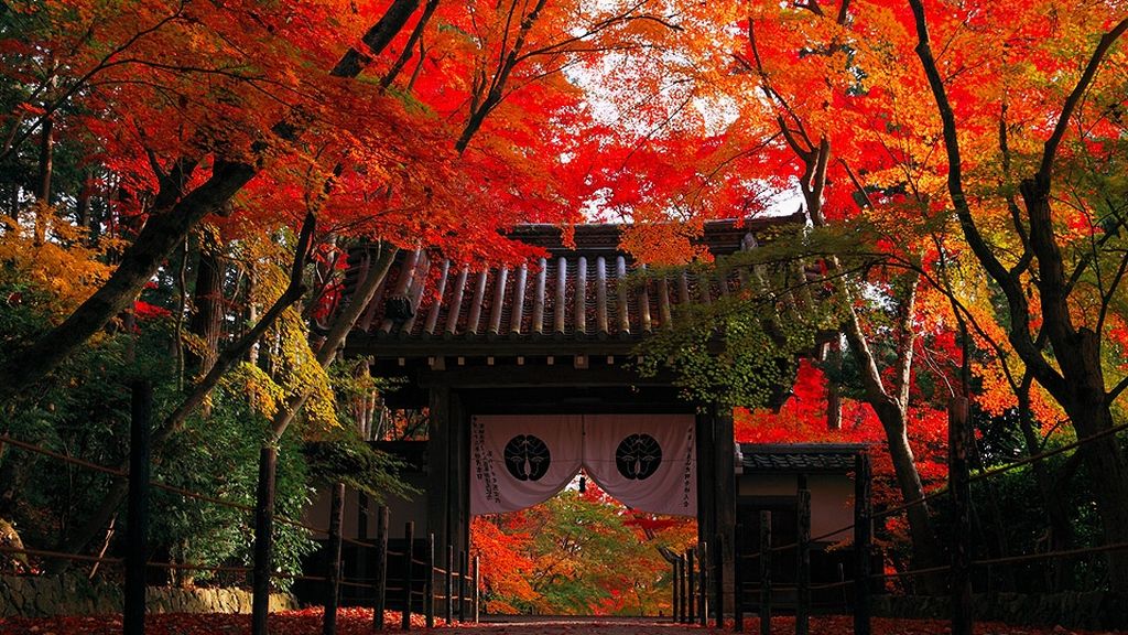 Komyo-ji Temple (光明寺) / Kyoto | Nipponderful.com