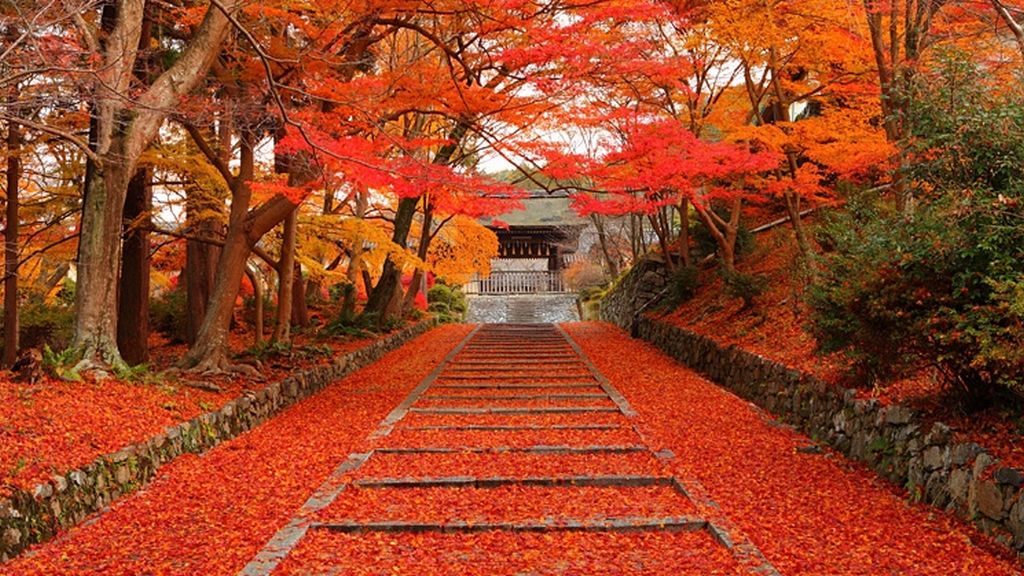 Bishamon-do Temple (毘沙門堂) / Kyoto | Nipponderful.com