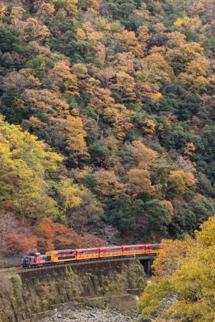 Sagano scenic torokko train