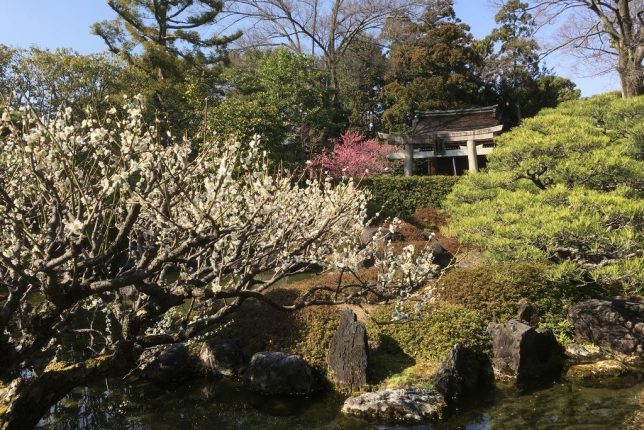 Muromachi garden