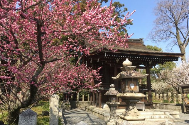 The sub shrine with plum trees