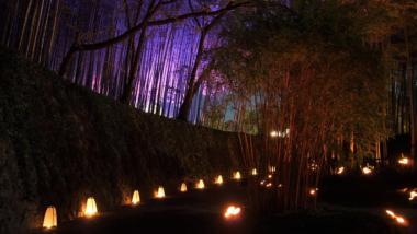 rakusei bamboo park