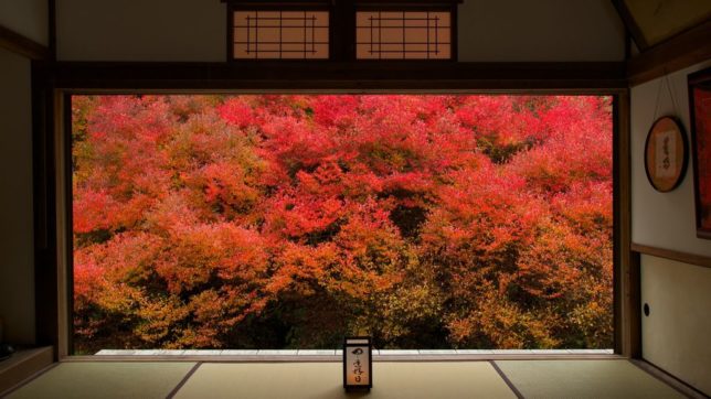 ankoku-ji temple