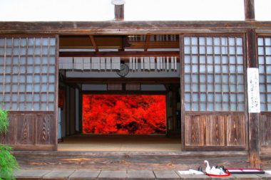 ankoku-ji autumn