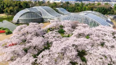 kyoto botanic garden