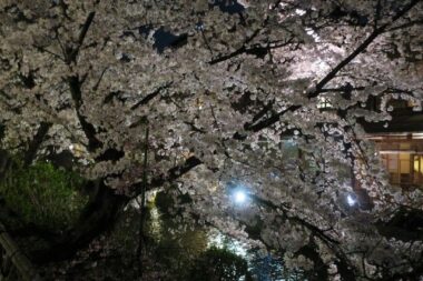 gion-shirakawa