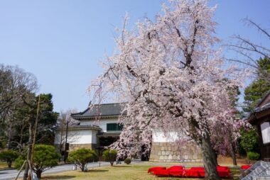 nijo-castle