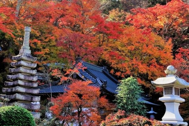 eigen-ji autumn