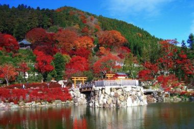 katsuo-ji autumn