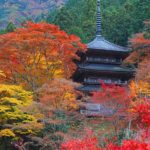 kogen-ji