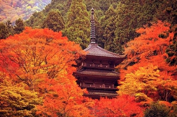 kogen-ji pagoda