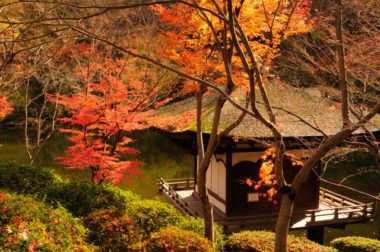 negoro-ji pond autumn