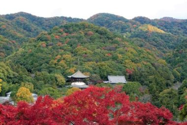 negoro-ji autumn