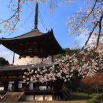 negoro-ji pagoda