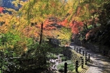 shoryaku-ji