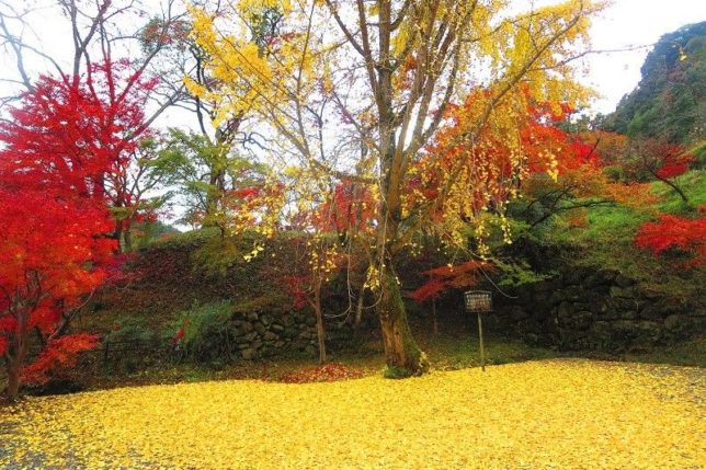 shoryaku-ji