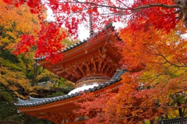 daiitoku-ji ushitakisan