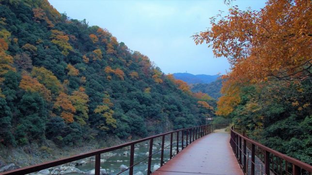 takedao trail autumn