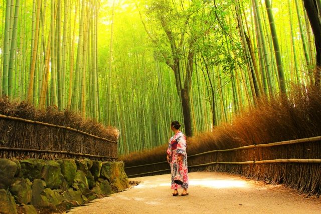 arashiyama bamboo