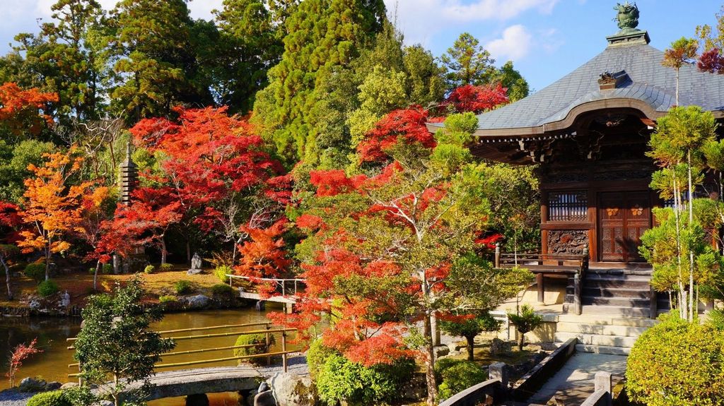 seiryo-ji garden