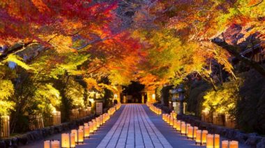 ishiyama-dera lit-up