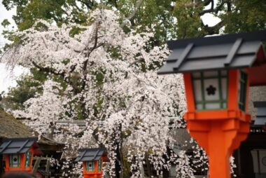 hirano-jinja