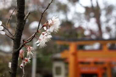 hirano-jinja