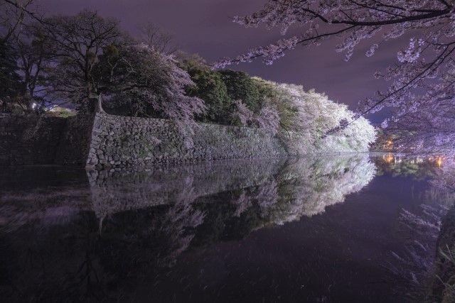 hikone castle